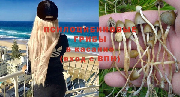 стафф Нефтекумск