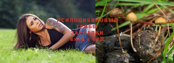 прущие крисы Нея